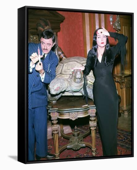 John Astin, The Addams Family (1964)-null-Framed Stretched Canvas