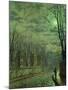Wood Mount