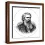 Brown Frame