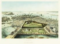 Bird'S-Eye View of New York and Environs-John Bachman-Giclee Print