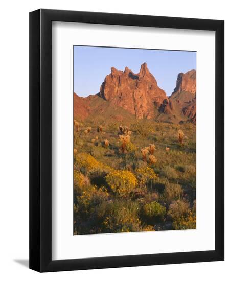Photographic Print, , large