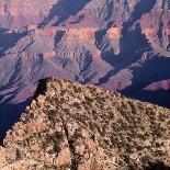 USA, Arizona, Grand Canyon National Park, North Rim-John Barger-Photographic Print