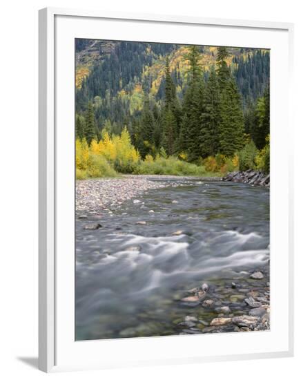 Framed Photographic Print, , large