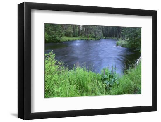 Photographic Print, , large