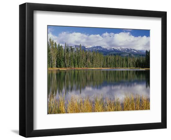 Premium Photographic Print, , large