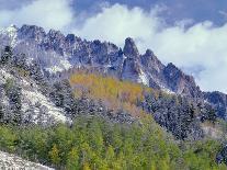 Colorado, Uncompahgre National Forest, Snowfall on Fall Colored Aspen and Spruce-John Barger-Photographic Print