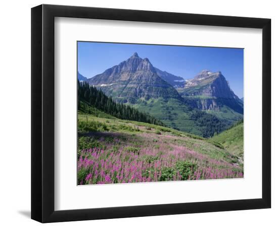 Premium Photographic Print, , large