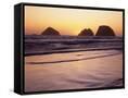 Canvas Black