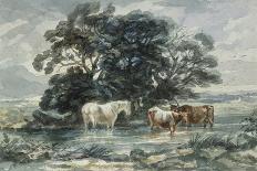 Landscape, Two Cows and a Horse Standing in Water, (Sketch)-John Barker-Giclee Print