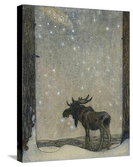 Stretched Canvas Print, , large