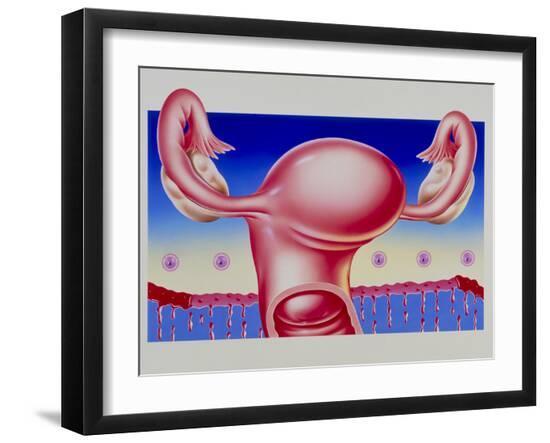 Photographic Print, , large