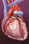 Heart Bypass Grafts-John Bavosi-Photographic Print