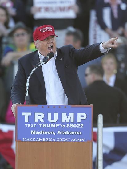 Premium Photographic Print, , large