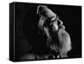 John Berryman-Terence Spencer-Framed Stretched Canvas