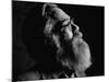 John Berryman-Terence Spencer-Mounted Premium Photographic Print