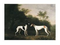 Robert Bakewell (1725-95) on Horseback-John Boultbee-Giclee Print