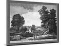 Wood Mount