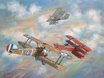 The Red Baron Bugs Out-John Bradley-Giclee Print