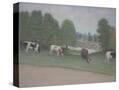 Stretched Canvas