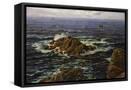 Canvas Black