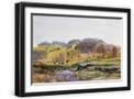 Black Frame