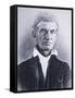 John Brown-null-Framed Stretched Canvas