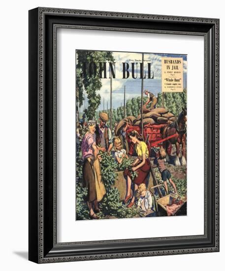 John Bull, Farming Hops Magazine, UK, 1948-null-Framed Giclee Print