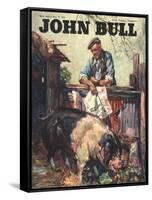 John Bull, Pigs Farms Farmers Magazine, UK, 1946-null-Framed Stretched Canvas