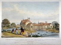 Cottage Erected in St James's Park for the Ornithological Society of London, Westminster, 1844-John Burges Watson-Laminated Giclee Print