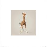 Giraffe-John Butler Art-Framed Art Print