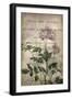 Black Frame