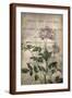 Brown Frame