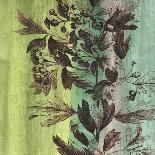 Painted Botanical II-John Butler-Art Print