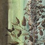 Painted Botanical I-John Butler-Art Print