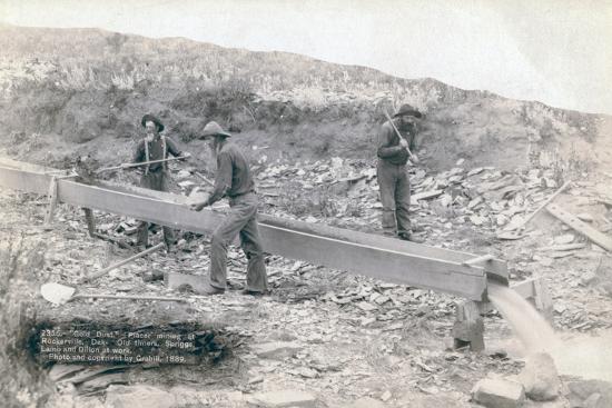 Photographic Print, , large