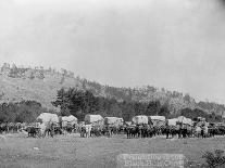 A Large Mining Facility Part of the Homestake Works-John C.H. Grabill-Mounted Photographic Print