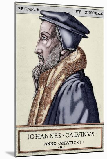 John Calvin (1509 1564). French Theologian and Pastor During the Protestant Reformation-null-Mounted Giclee Print