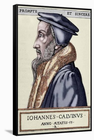 John Calvin (1509 1564). French Theologian and Pastor During the Protestant Reformation-null-Framed Stretched Canvas