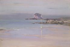 Bass Rock-John Campbell Mitchell-Giclee Print