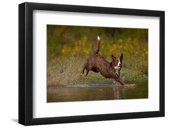 Premium Photographic Print, , large