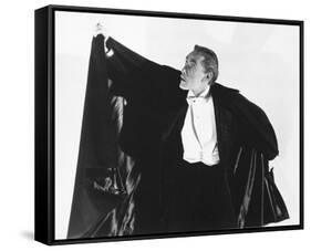 John Carradine-null-Framed Stretched Canvas