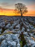 Limestone Pavement, Malham, Yorkshire Dales, England, Uk-John Carroll Photography-Framed Photographic Print