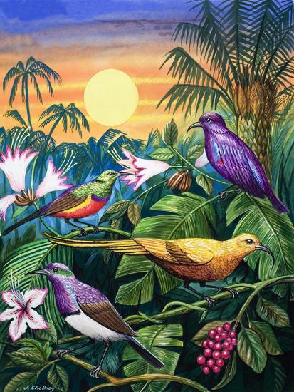 Giclee Print, , large