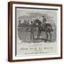 Brown Frame