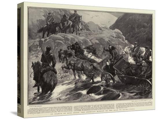 Stretched Canvas Print, , large