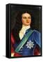 John Churchill, First Duke of Marlborough (1650-172), English Soldier-null-Framed Stretched Canvas