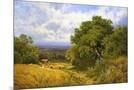 Wood Mount