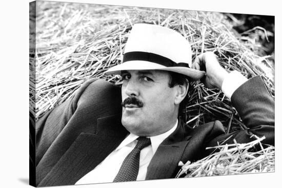 John Cleese Lounging in Hay-Associated Newspapers-Stretched Canvas