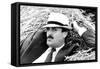 John Cleese Lounging in Hay-Associated Newspapers-Framed Stretched Canvas