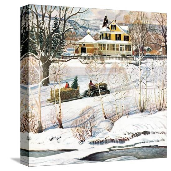Stretched Canvas Print, , large